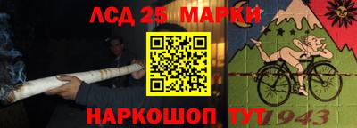 крисы Беслан