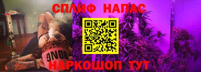 СК Бийск