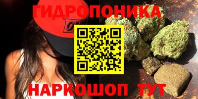СК Бийск