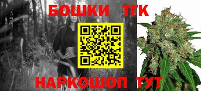СК Бийск