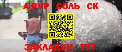 СК Бийск