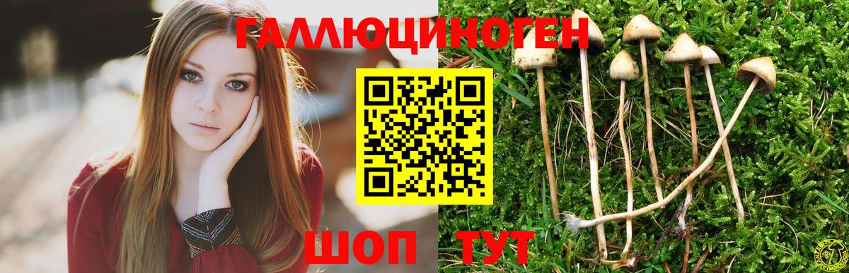 Псилоцибиновые грибы Cubensis  Вход с VPN  Псилоцибиновые грибы MAGIC MUSHROOMS  Зеленодольск 